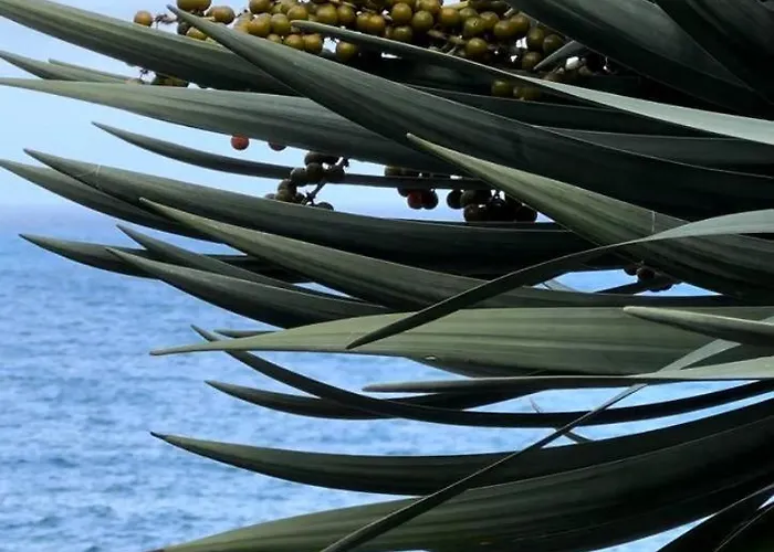 Taverna Ferienhaus São Jorge