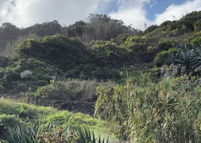 Ferienhaus Taverna São Jorge