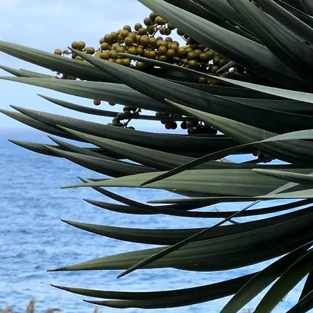 Taverna Σπίτι διακοπών Σάο Ζόρζε